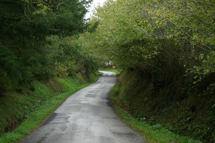 640x480-20141108 115048