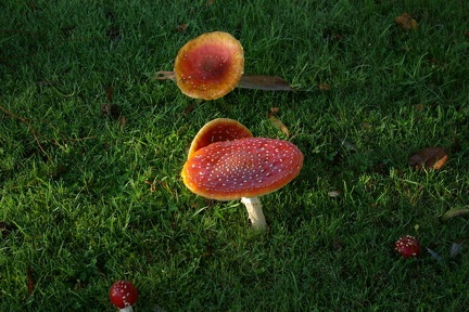 640x480-20141116 094200