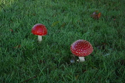 640x480-20141116 094209