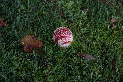 640x480-20141116 094215