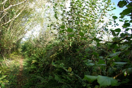 640x480-20141116 111729