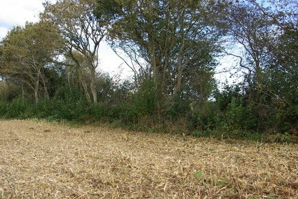 640x480-20141116 111958