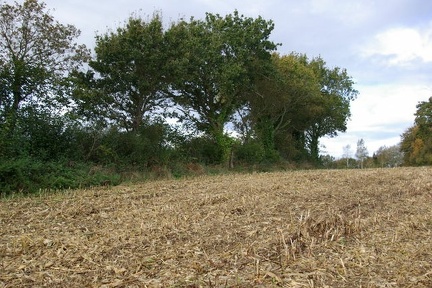 640x480-20141116 112156