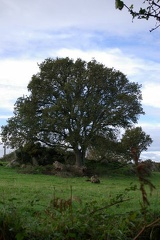 640x480-20141116 114113