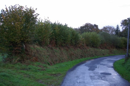 640x480-20141116 150330