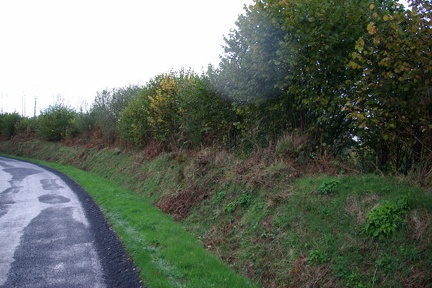 640x480-20141116 150503