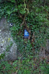 640x480-20141213 092117