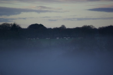 640x480-20141213 092428