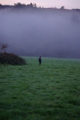 640x480-20141213 092648