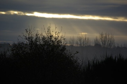 640x480-20141213 094256