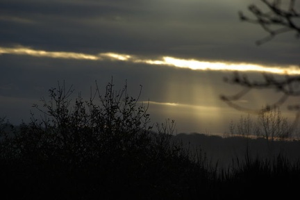 640x480-20141213 094405