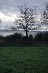 640x480-20141213 095745