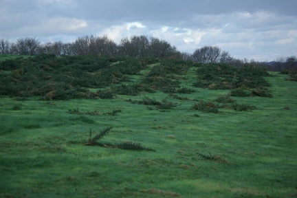 640x480-20141213 100351