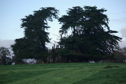 640x480-20141213 100425