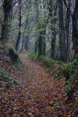 640x480-20141213 101637