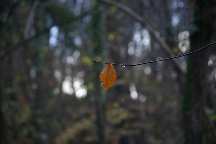 640x480-20141213 101811