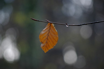 640x480-20141213 101821