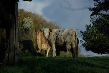 640x480-20141213 111056