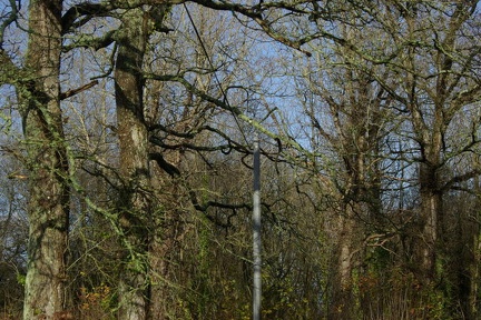 640x480-20141213 114531