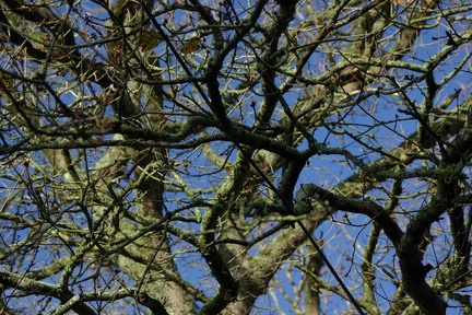 640x480-20141213 114542