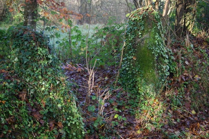 640x480-20141213 114849