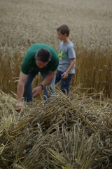 640x480-20140807 190919