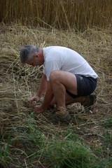 640x480-20140807 190923