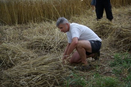 640x480-20140807 190928