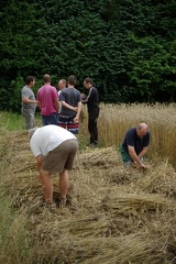 640x480-20140807 190940