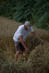 640x480-20140807 190944