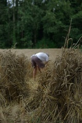 640x480-20140807 191000