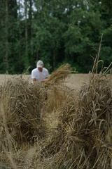 640x480-20140807 191002