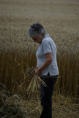 640x480-20140807 191009