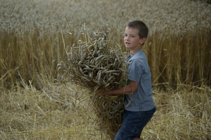 640x480-20140807 191921