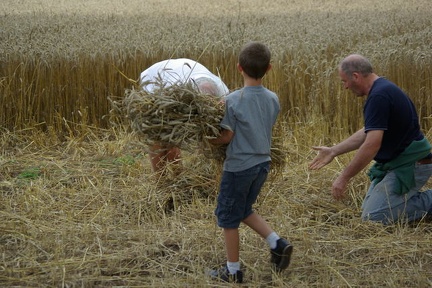 640x480-20140807 191925