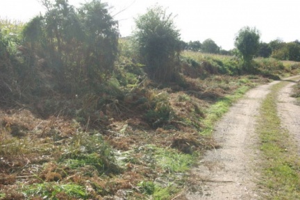 640x480-20180930 110613