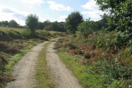 640x480-20180930 110617