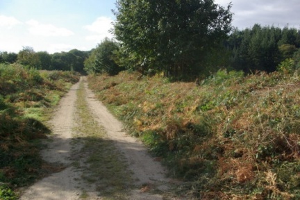 640x480-20180930 110648