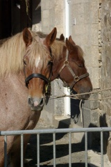 640x480-20181020 141101