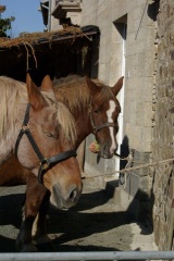 640x480-20181020 141124