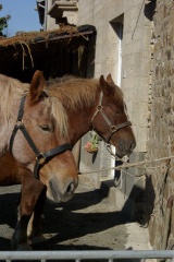 640x480-20181020 141126