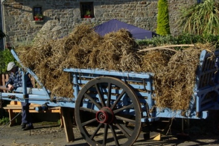 640x480-20181020 155748