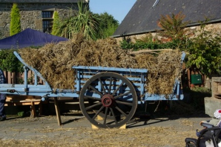 640x480-20181020 155758