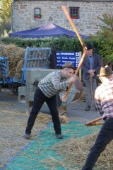 640x480-20181020 174307