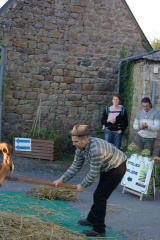 640x480-20181020 174333