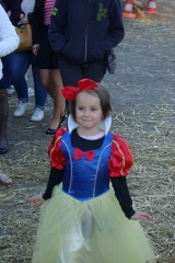 640x480-20181020 175008