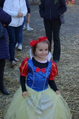 640x480-20181020 175010