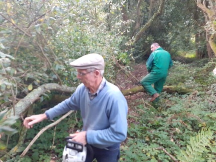 640x480-20190928 102013