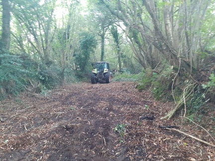 640x480-20190928 105909