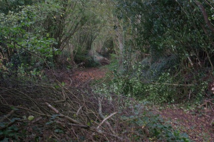 640x480-20191026 085927